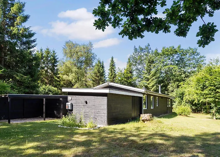 Holiday home With A Fireplace 01 *